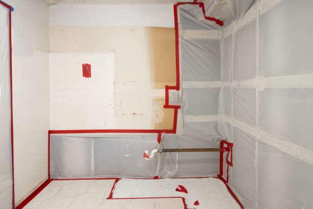 Best Basement Mold Removal  in Irwindale, CA